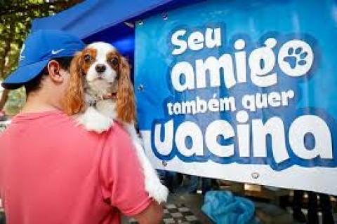 Zona Oeste recebe campanha de vacinação antirrábica para cães e gatos no sábado